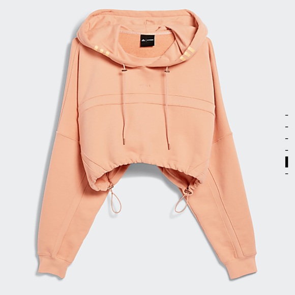 COPY - Ivy Park Hoodie - Picture 1 of 4